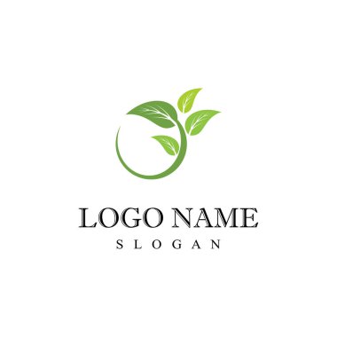 Yaprak Logo Şablonu vektör sembolü doğa