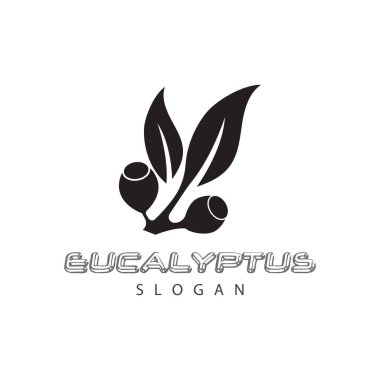 Okaliptüs logo vektör şablon tasarımı çizimi bırakır