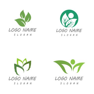 Yaprak Simgesi Vektör İllüstrasyon Tasarım Logosu şablonu