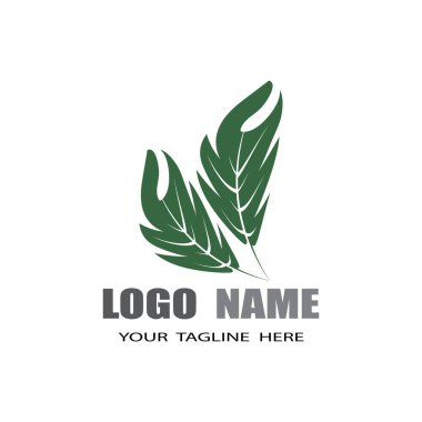 Canavar yaprağı logo vektör tasarımı