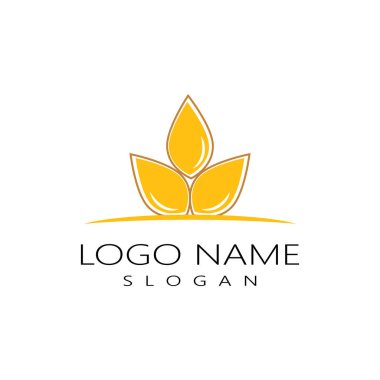 Tarım buğday vektör tasarımı 