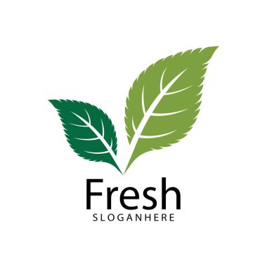 Yaprak Simgesi Vektör İllüstrasyon Tasarım Logosu şablonu