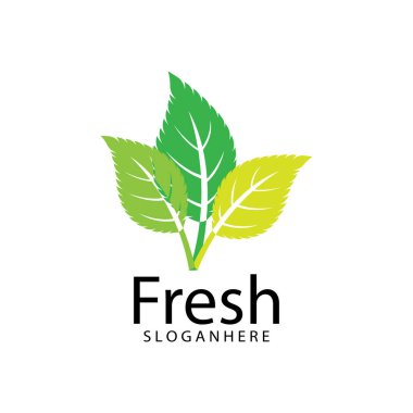 Yaprak Simgesi Vektör İllüstrasyon Tasarım Logosu şablonu