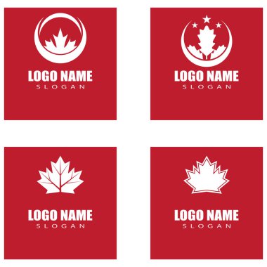 Akçaağaç yaprağı vektör çizim şablonu