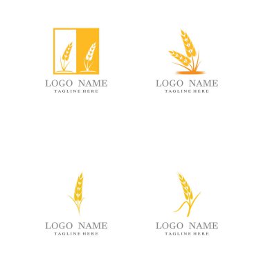 Tarım buğday vektör tasarımı 