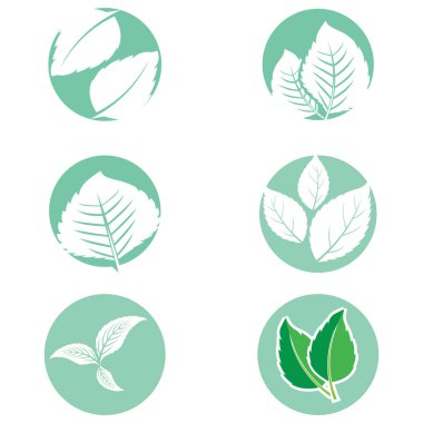 Yaprak Simgesi Vektör İllüstrasyon Tasarım Logosu şablonu