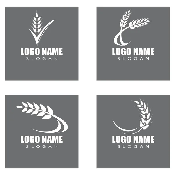 Tarım buğday vektör tasarımı 