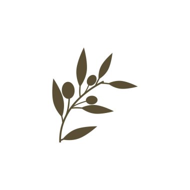 zeytin ikonu vektör çizim şablonu
