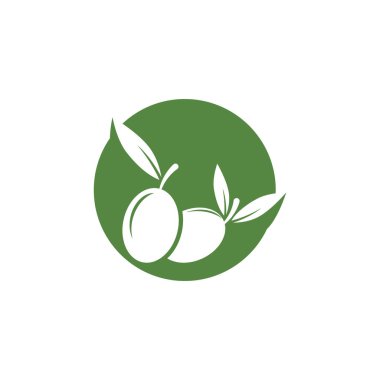 zeytin ikonu vektör çizim şablonu