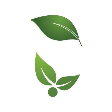 Yaprak Simgesi Vektör İllüstrasyon Tasarım Logosu şablonu