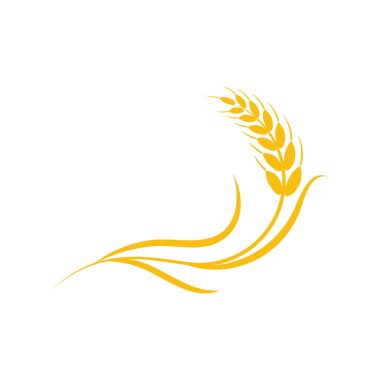 Tarım buğday vektör tasarımı 