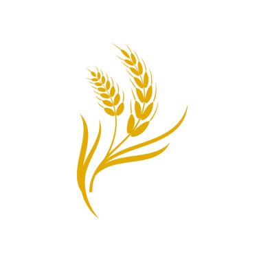 Tarım buğday vektör tasarımı 