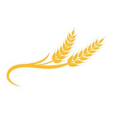 Tarım buğday vektör tasarımı 