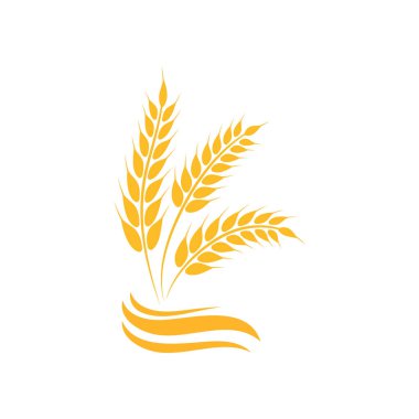 Tarım buğday vektör tasarımı 