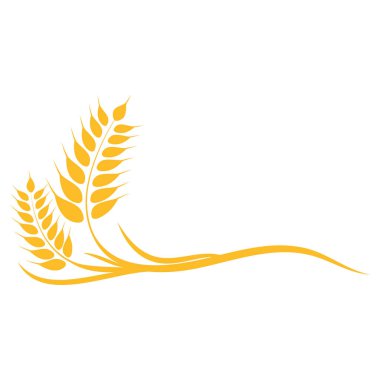 Tarım buğday vektör tasarımı 
