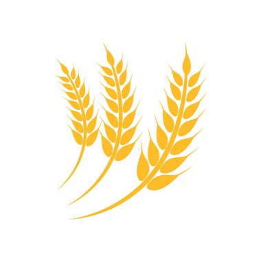 Tarım buğday vektör tasarımı 