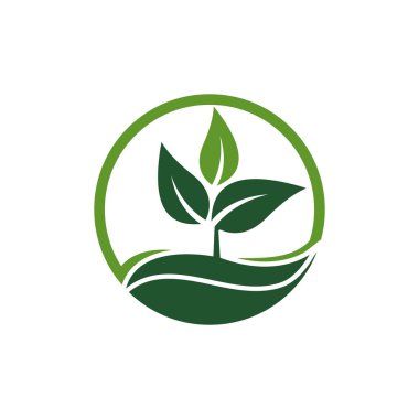 Yaprak Simgesi Vektör İllüstrasyon Tasarım Logosu şablonu