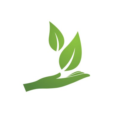 Yaprak Simgesi Vektör İllüstrasyon Tasarım Logosu şablonu