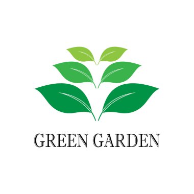 Yaprak Simgesi Vektör İllüstrasyon Tasarım Logosu şablonu