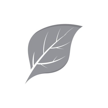 Yaprak Simgesi Vektör İllüstrasyon Tasarım Logosu şablonu