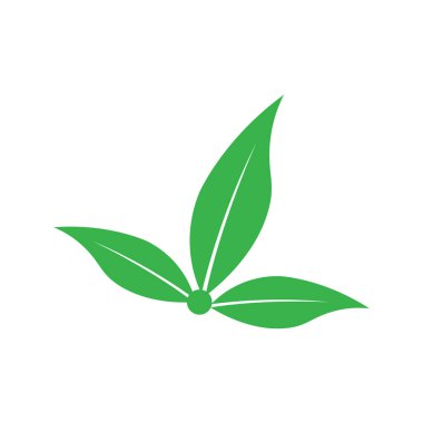 Yaprak Simgesi Vektör İllüstrasyon Tasarım Logosu şablonu