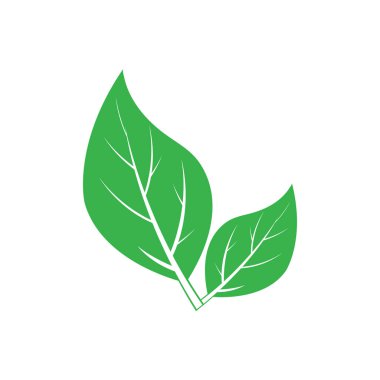 Yaprak Simgesi Vektör İllüstrasyon Tasarım Logosu şablonu