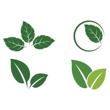 Yaprak Nane Logosu Şablon Sembolünü Doğaya Ayarla