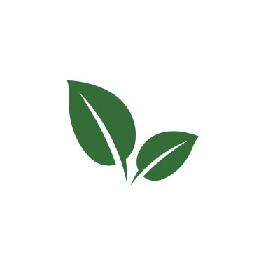 Yaprak Nane Logo Şablonu vektör sembolü doğa