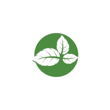 Yaprak Nane Logo Şablonu vektör sembolü doğa