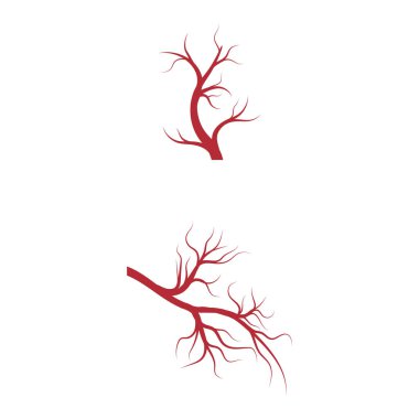 Damarlar Logo Şablonu vektör sembolü doğa