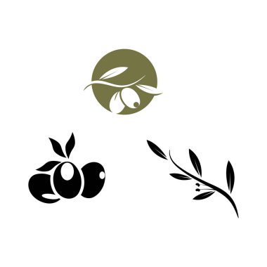 zeytin ikonu vektör çizim şablonu
