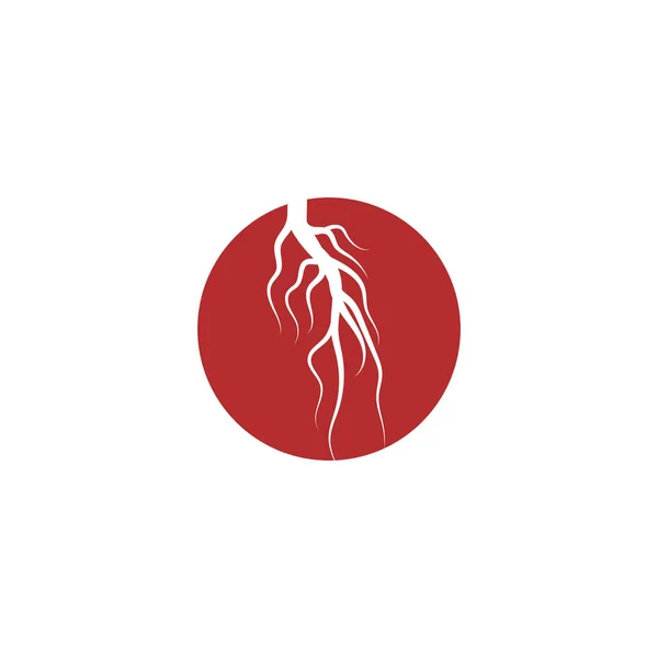 Вены Логотип Векторного Символа — стоковый вектор