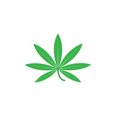 kenevir yaprağı illüstrasyonu, yeşil simge 
