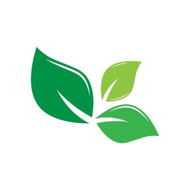 Yaprak Simgesi Vektör İllüstrasyon Tasarım Logosu şablonu