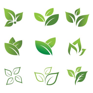 Nane düz vektör renk şablonu çizim tasarımı bırakır