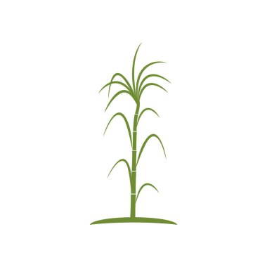 Şeker kamışı logo şablonu vektör sembolü doğa