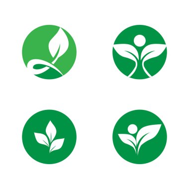 Yaprak Simgesi Vektör İllüstrasyon Tasarım Logosu şablonu