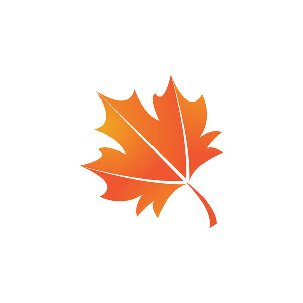 Maple leaf vector illustration design template