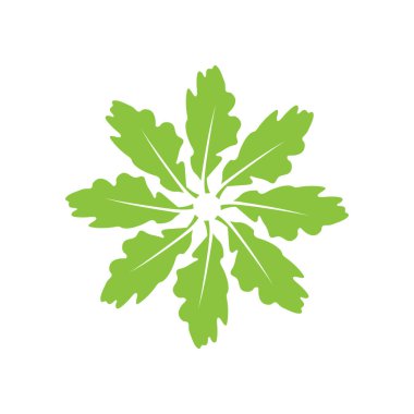 Green leaf illustration nature logo and symbol design