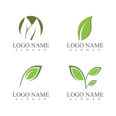 Yaprak Simgesi Vektör İllüstrasyon Tasarım Logosu şablonu