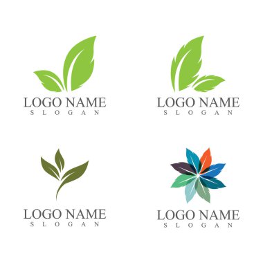 Yaprak Simgesi Vektör İllüstrasyon Tasarım Logosu şablonu