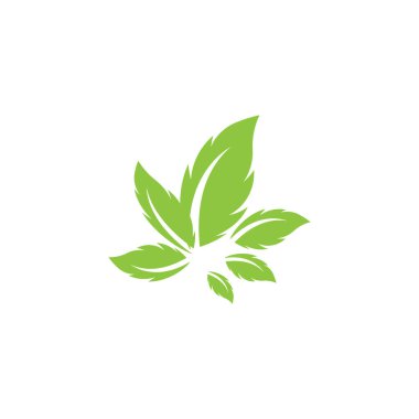 Yaprak Simgesi Vektör İllüstrasyon Tasarım Logosu şablonu