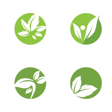 Yaprak Simgesi Vektör İllüstrasyon Tasarım Logosu şablonu