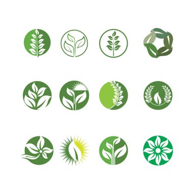 Yeşil ağaç yaprağı ekoloji doğa elementi vektörü logoları
