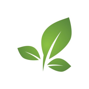 Yeşil yaprak illüstrasyon doğa logosu tasarımı