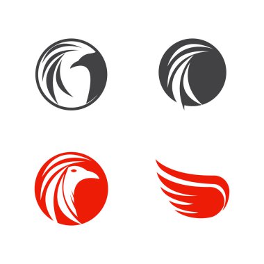 Tüy ilüstrasyon logo vektör şablonu tasarımı