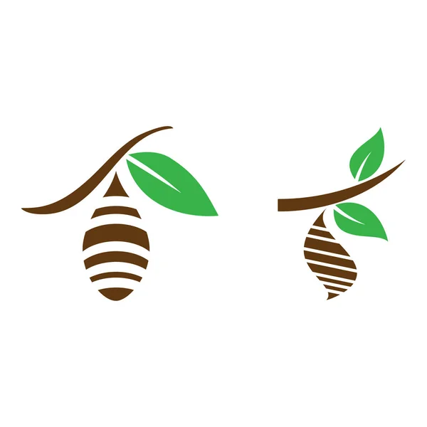 Cocoon Illustration Logo Vectoriel Design — Image vectorielle