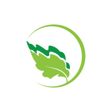 Green leaf illustration nature logo and symbol design