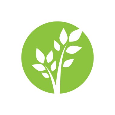 Green leaf illustration nature logo and symbol design