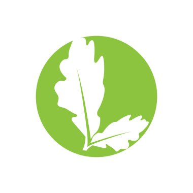 Green leaf illustration nature logo and symbol design
